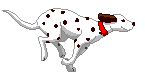Na�e dogy